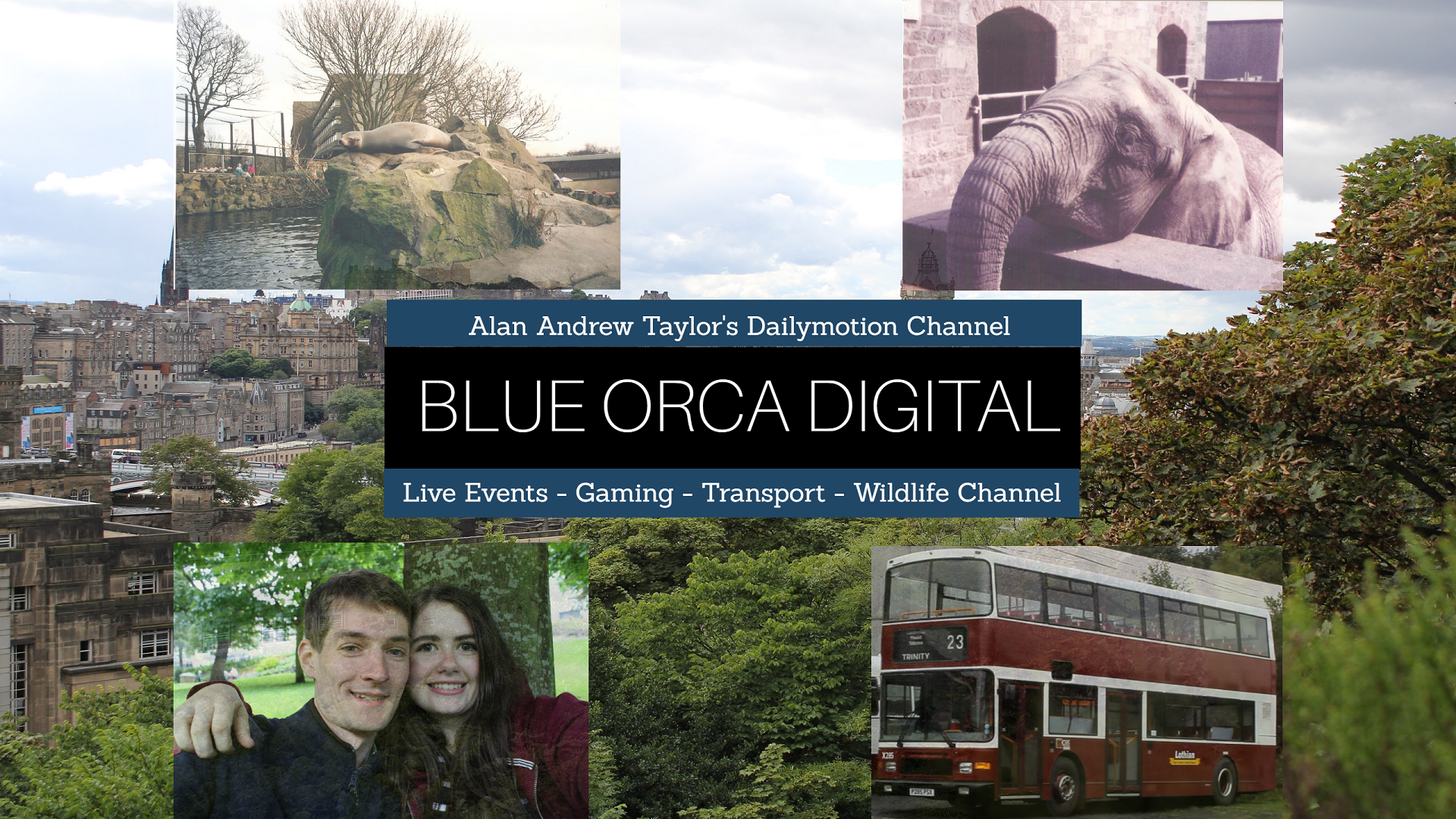 Blue Orca Digital - Alan Andrew Taylor