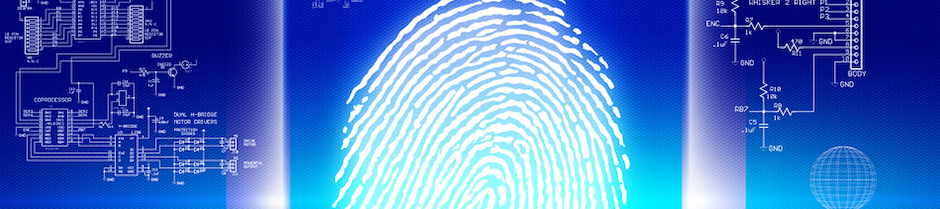 Employment Background Check