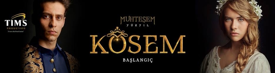 بانوراما عالمي للفن التركي