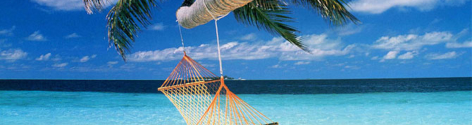 Cash Back Savings Biz