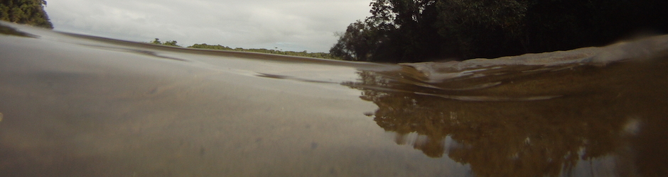 Marcelo Ambrogi e seus Inventos Modernos