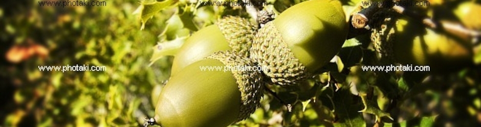 Chacabuco News, Buenos Aires