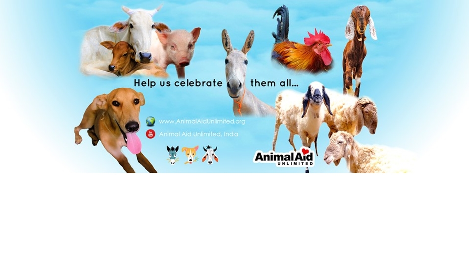 Animal Aid Unlimited, India