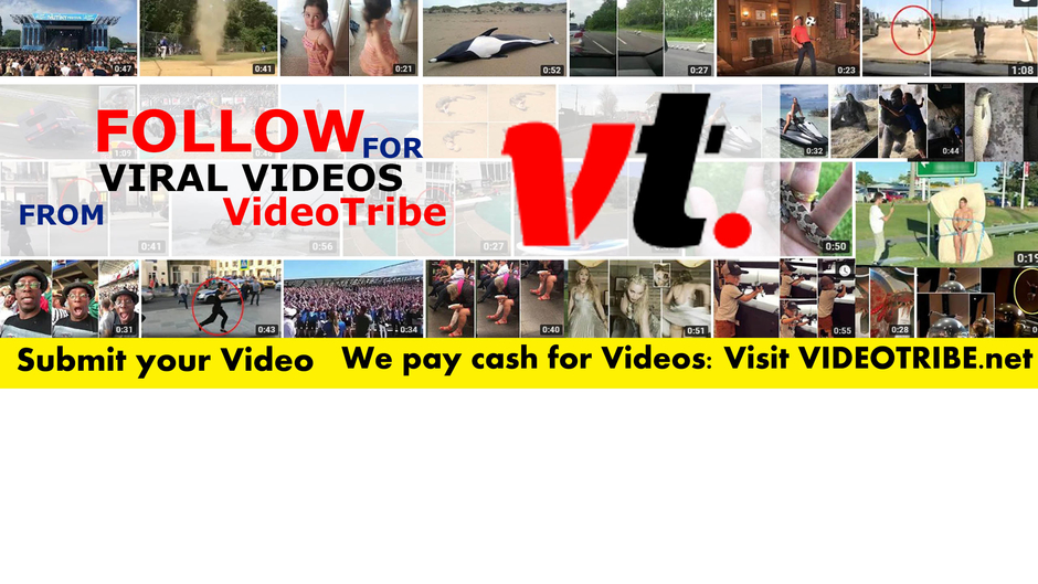 VideoTribe