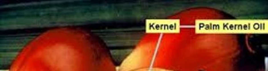 Widodo Ratanachaitong