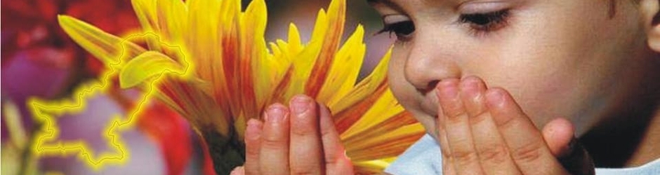 Omair Sana Foundation