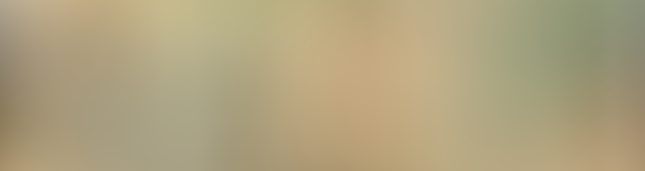 Whatsapp Videos World