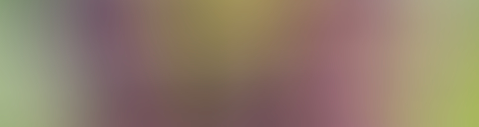 Saint Pierre des Champs