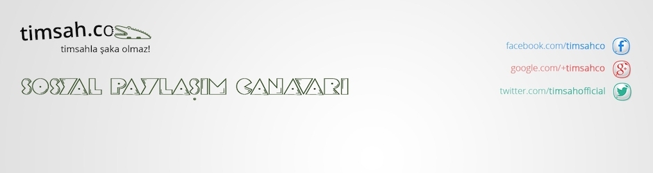 timsah.co