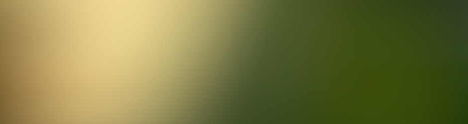 Alexander KIRIYATSKIY