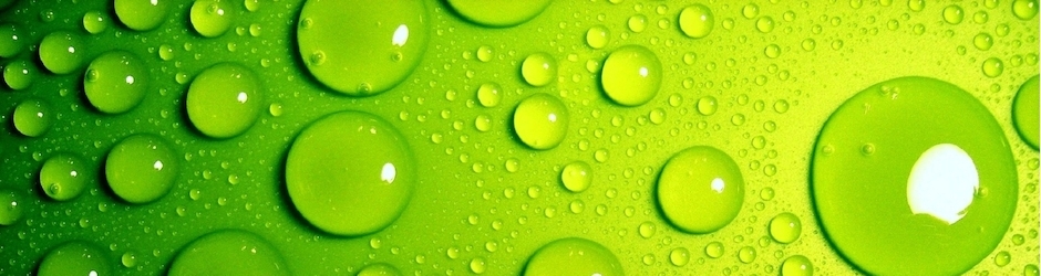 Best Products Revealed