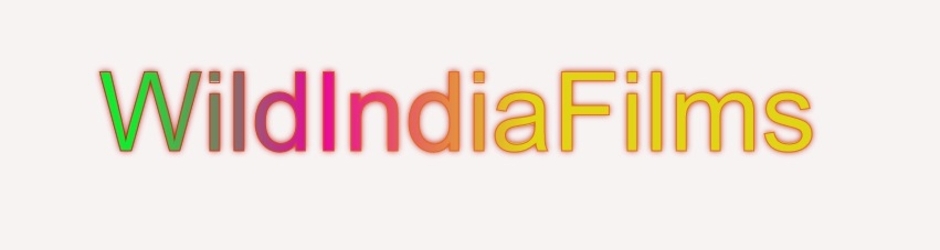 Wildindiafilms