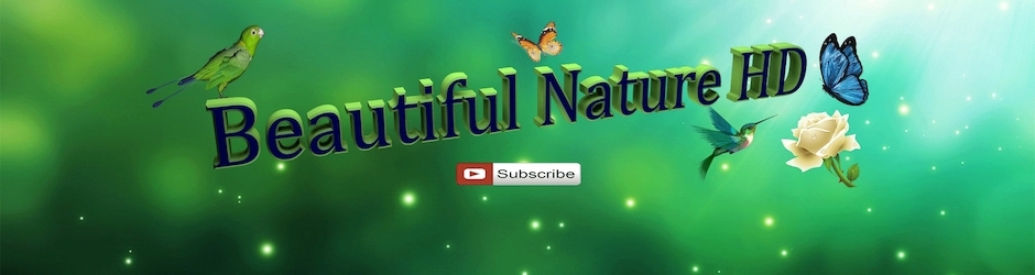 beautiful nature HD