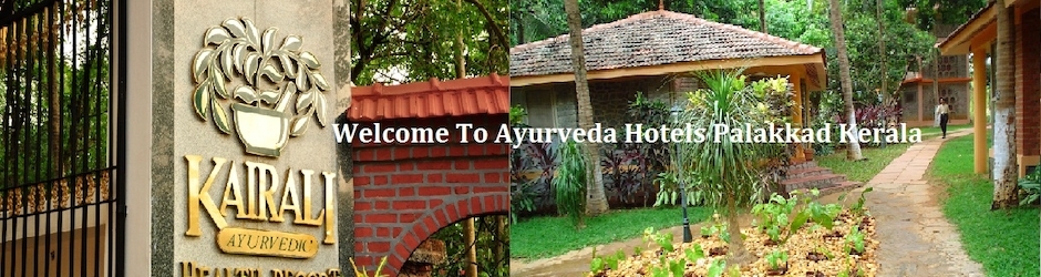 Ayurvedicvilla