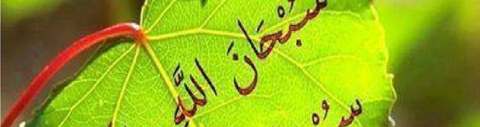 Juma8anwarیا اللہ سلامت خوشحالی کامیابی