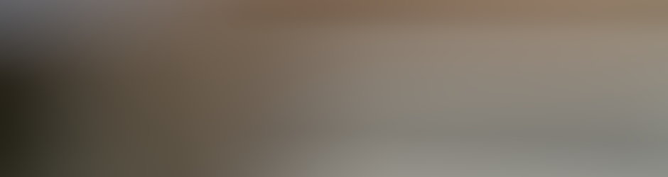 Exposing Sydney Buses