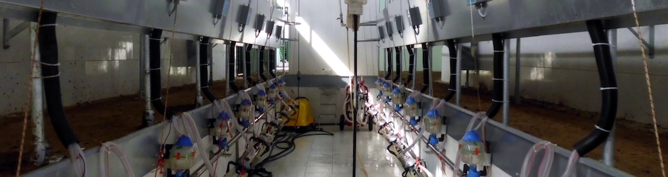 Gençtar Lukas Süt Sağım Sistemleri