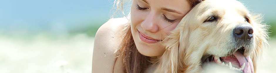 K9 DOG OBEDIENCE TRAINING - Sydney Australia