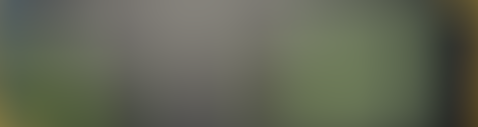 Dragons Rise of Berk Cheats Hack