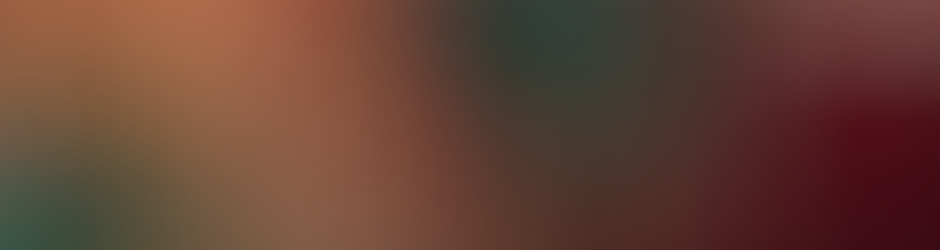 SF Video Entertainment