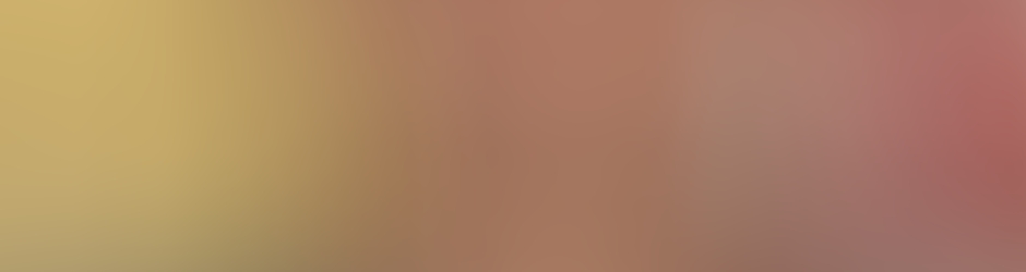 Ismael Gundes DE Brito Torquato