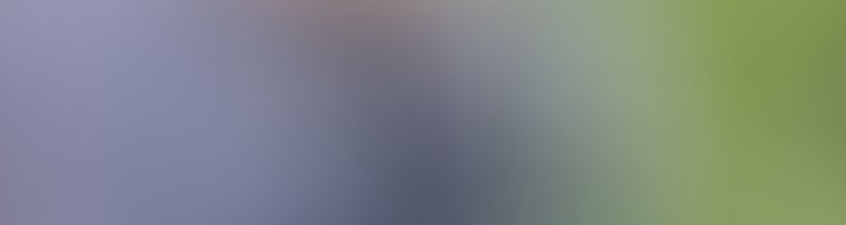 سيف علي ياسر