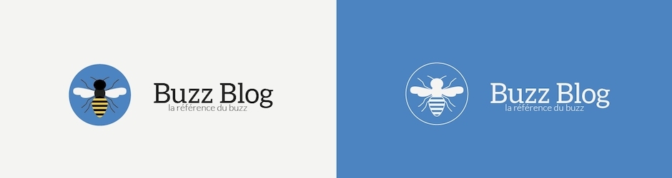 Buzzblogfr