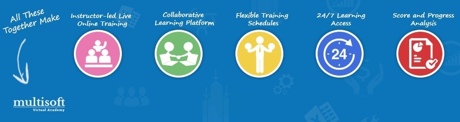 Multisoft Virtual Academy