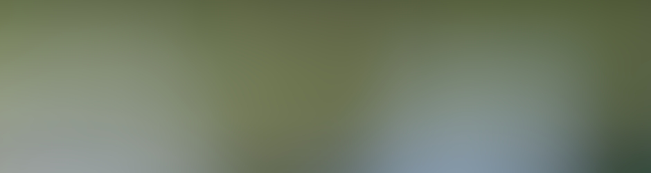 a1poolservicehiltonhead