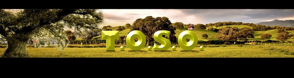 T.O.S.O. TheOldStyrianOak