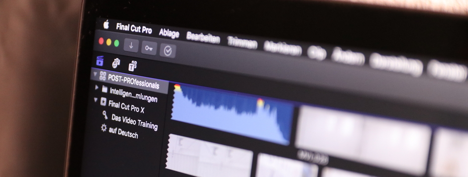 POST-PROfessionals — Robin S. Kurz