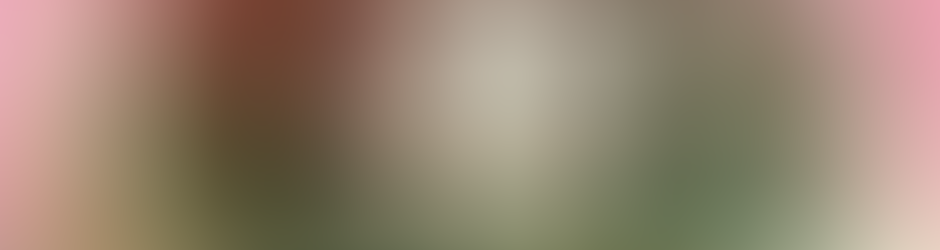 ThatRandomEncounterGuy