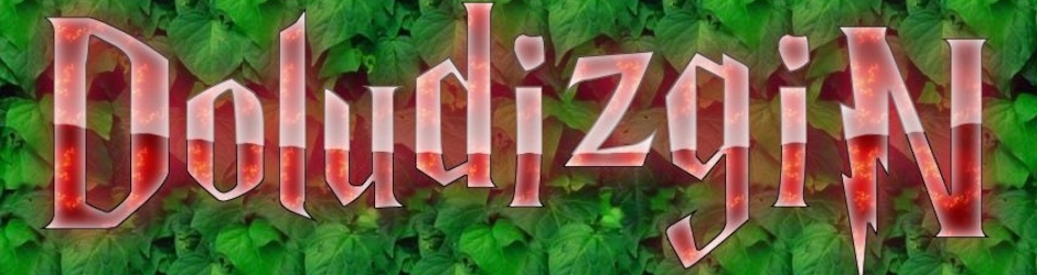 DoludizgiN