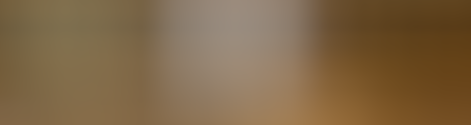 Orlando Watch Repair Experts