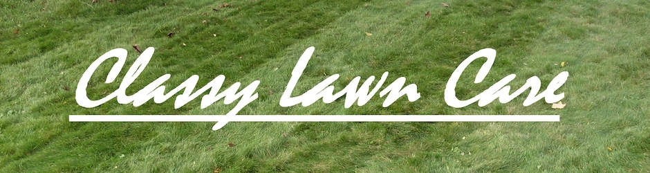 classylawncare