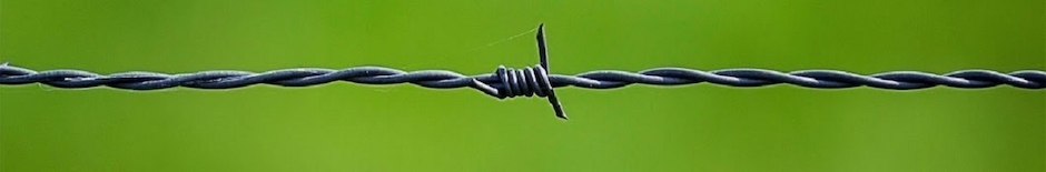 ShiningStone Documentaries