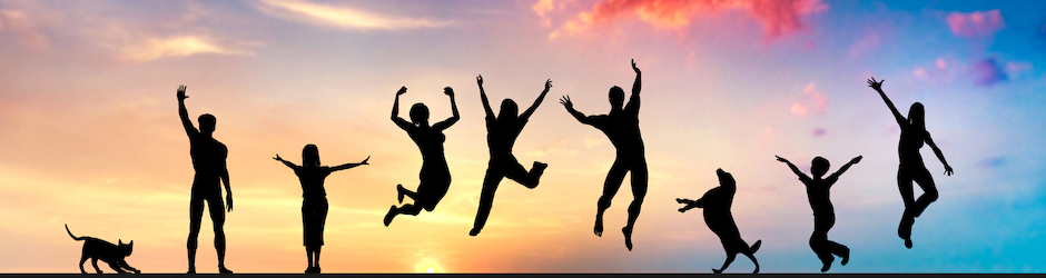 Everyday Fun & Entertainment