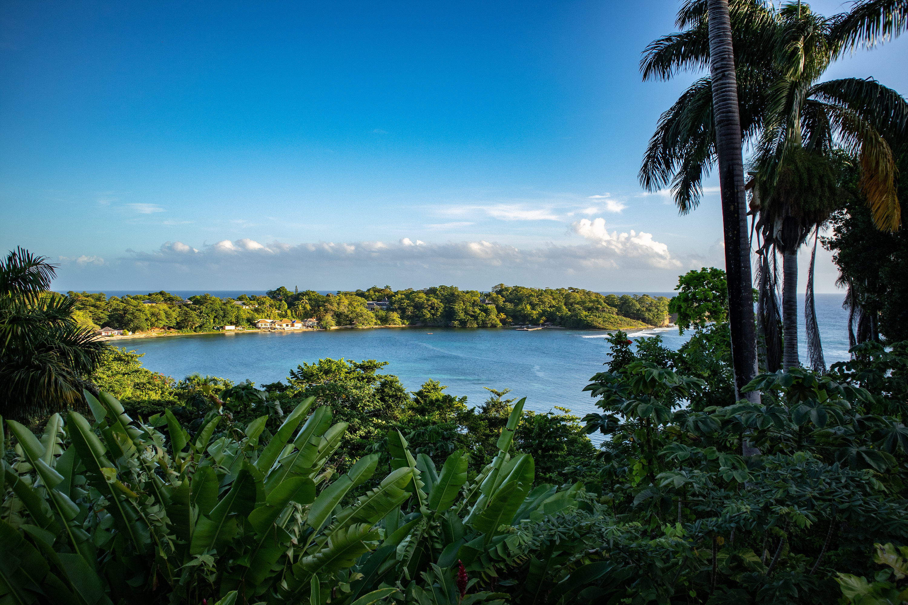 Reggae Falls Travel & Tours