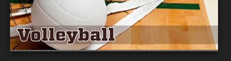 South Korea Volleyball