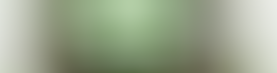 City Waste Collection