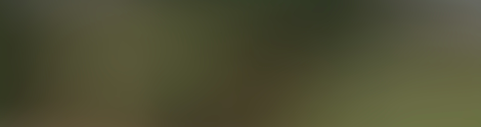 Muhammad Abdullah Chaudary