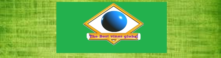 New Vines Global