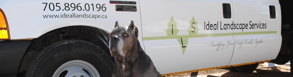 Ideal Landscape Services