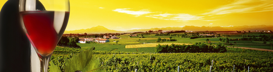 WeinTV by mio-gustoso.de