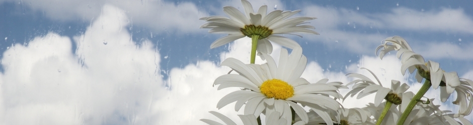 Education & Entertainment