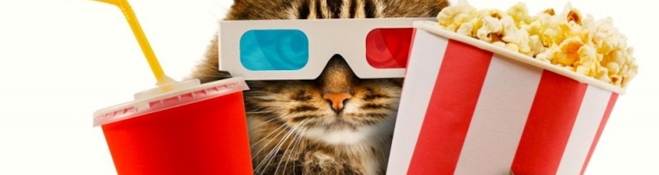 Randomkittenbox Meowies