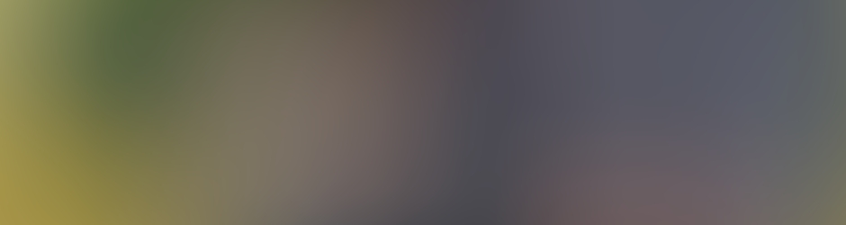 Rana R A Aziz