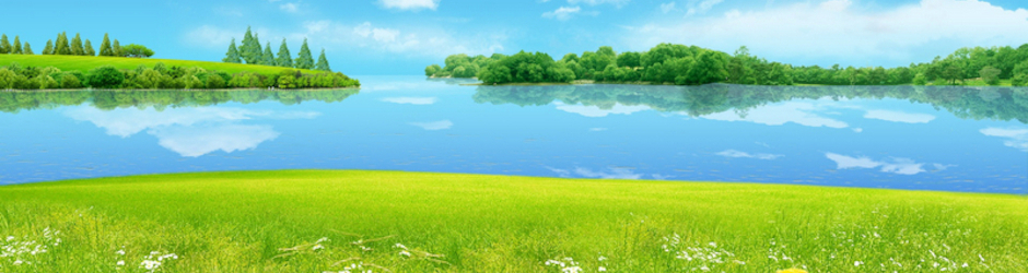 We are the champions!