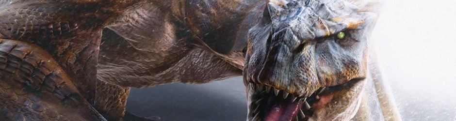 夫婦ハンターの軌跡～Trajectory of the couple Hunter～