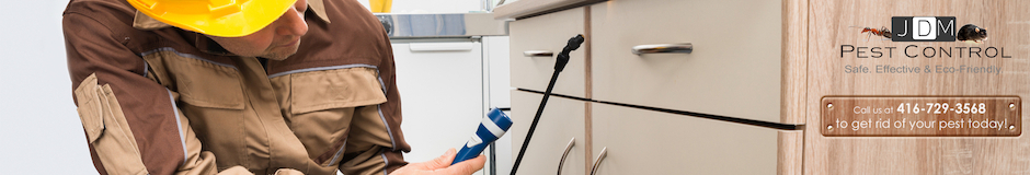 JDMPestControl